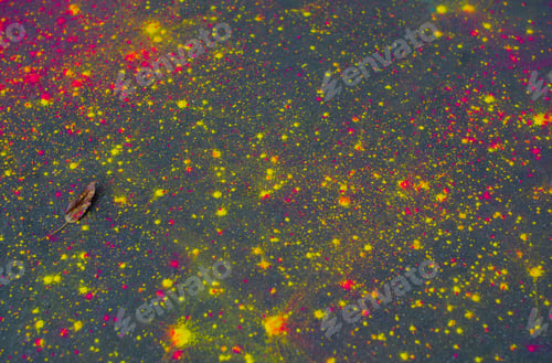 Preview: Colorful Powder Splatter on Ground with Single Leaf