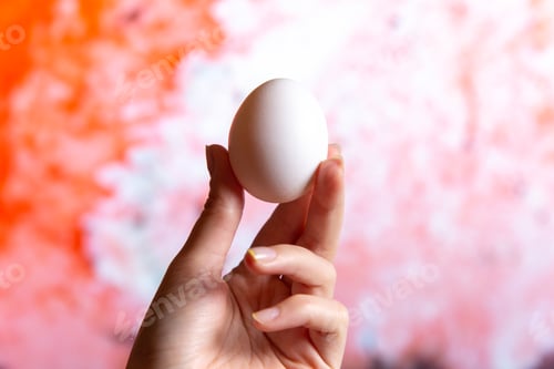 Preview: front view white egg hold by female on the light background food raw oil egg meal boil