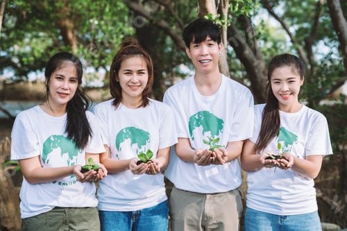 Preview: Volunteer people teamwork holding small plants seedling for growing in forest