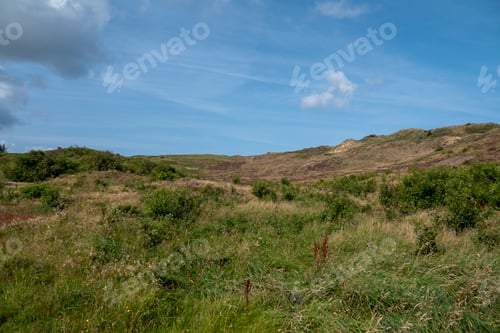 Preview: Scenic Landscape with Greenery and Blue Sky on a Sunny Day in Nationaal park Thy