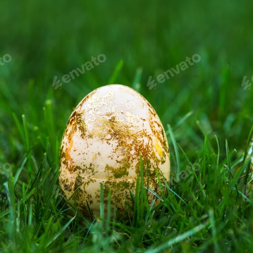 Preview: Golden Easter Eggs on green Grass Background