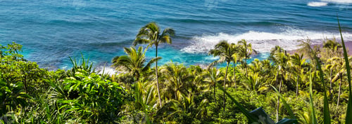 Preview: Hawaiian beach