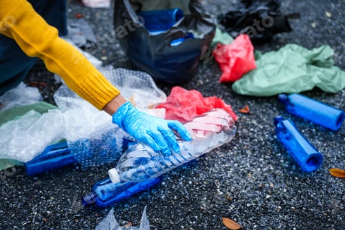 Preview: Close-up of young women girls hands sorting recyclable plastic bottles into trash bags outdoors
