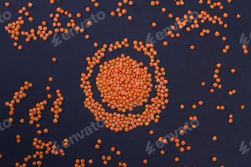 Preview: Top view dry lentil grains arranged in a circle.