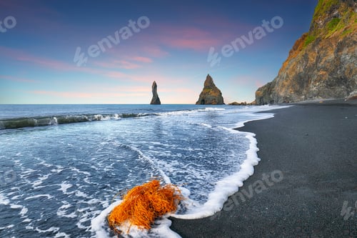 Preview: Impressive landscape with basalt rock formations Troll Toes on Black beach Reynisfjara
