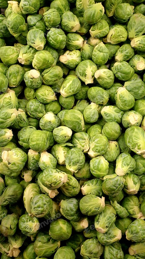 Preview: Brussels sprouts healthy food green vegetable