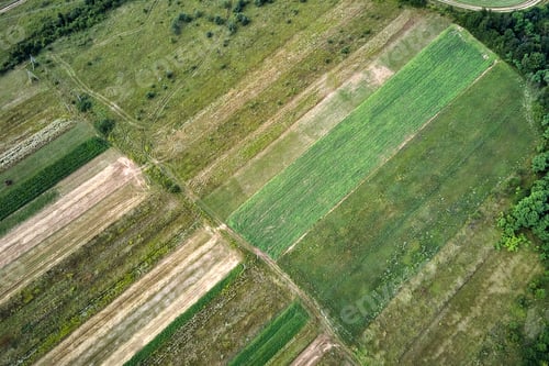 Preview: Aerial landscape view of green and yellow cultivated agricultural fields