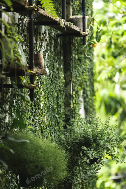 Preview: Earth day and environment ecology, concept, green nature space with plant and tree outside