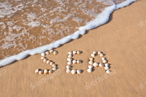 Visualização: palavra concha “mar” escrita na areia da praia