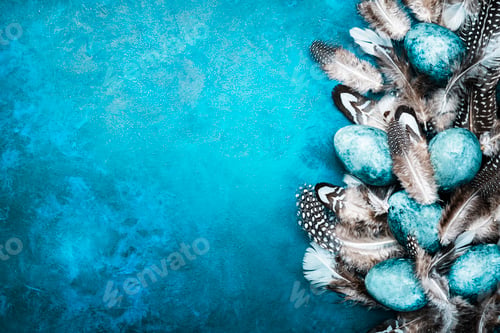 Preview: Easter blue eggs with colorful bird feathers on blue background, top view