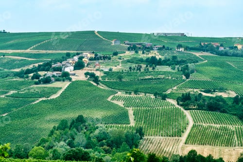 Preview: Oltrepo Piacentino (Italy), rural landscape at summer