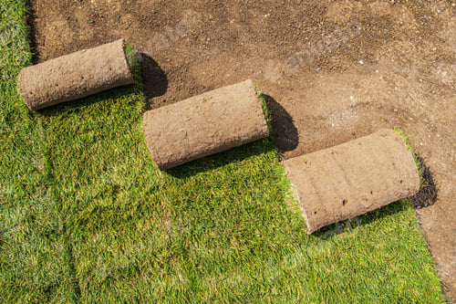 Preview: Lawn Installation Process With Fresh Sod Being Laid out in the Garden