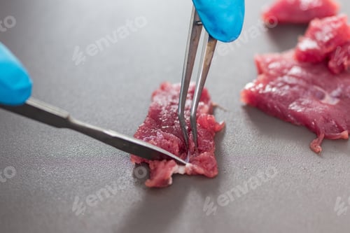 Preview: Food safety