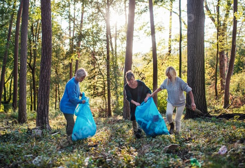 Preview: Senior women friends picking up litter outdoors in forest, a plogging concept