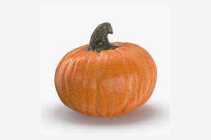 Preview: Ripe Orange Pumpkin