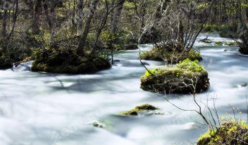 Preview: A Beautiful and Magical Japan pictures
