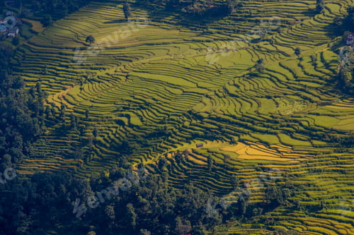 Preview: Traditional farming.