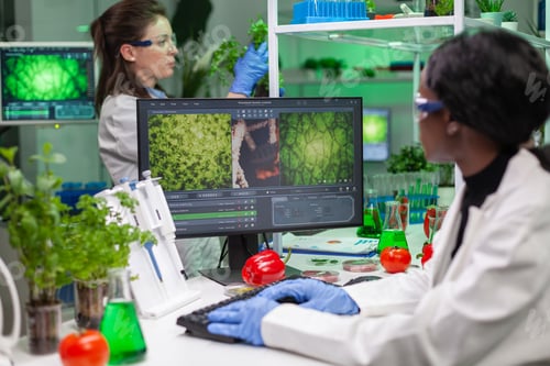 Preview: Biologist researcher typing gmo expertise on computer