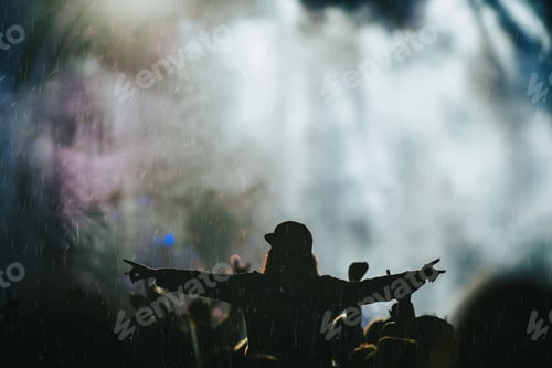 Preview: Silhouette of a man in a concert crowd