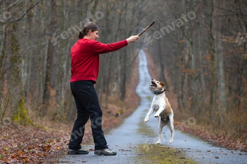 Preview: Fit happy woman and her dog outdoors