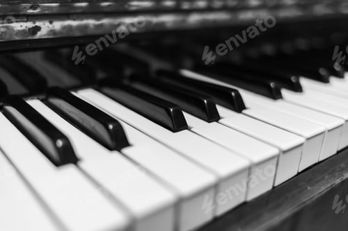 Preview: Piano keys closeup. Musical instrument in black and white photo.