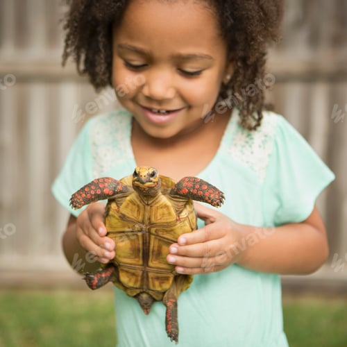 Preview: A child holding a tortoise.
