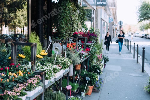 Preview: Plant shop displaying plants in spring