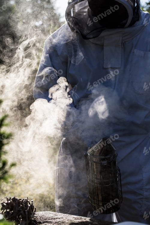 Preview: Beekeper wearing protective suit at work, using smoker to calm bees.