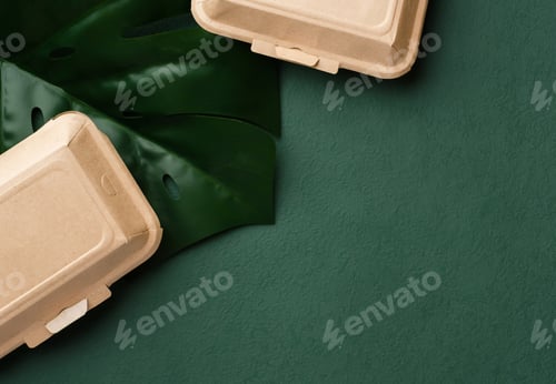 Preview: top view Recycle Eco friendly disposable food container made of paper with leaf on green background