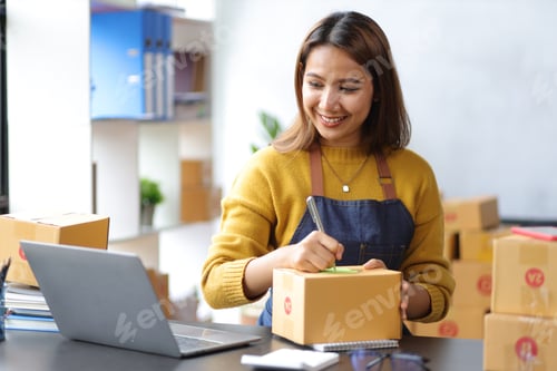 Preview: Woman in a small start-up business woman working in a home office.