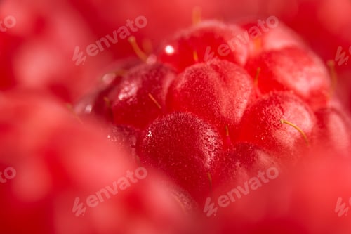 Preview: Fresh sweet raspberries close up background. Blured background macro.