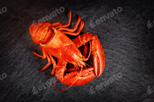Preview: A delicious freshly steamed boiled red lobster