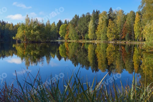 Preview: Autumn in a European park by the lake.