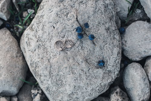 Preview: wedding rings lie on a stone next to a sprig of blue berries