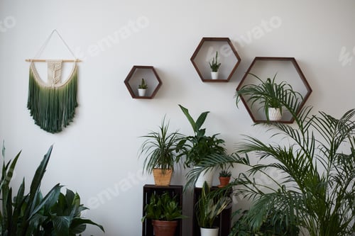 Preview: Modern loft living room with plywood wall and wooden floor, green tropical fern