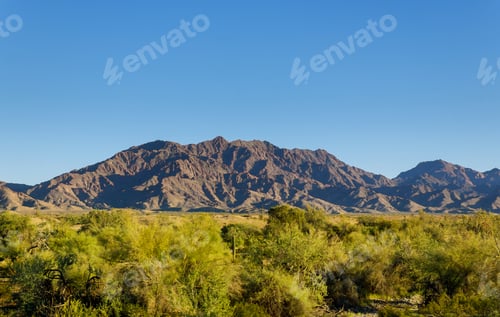 Preview: Desert cactus saguaro park Landscape, superstition mountain near Phoenix Arizona