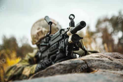 Preview: norwegian soldier in the forest