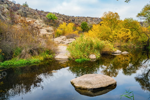 Preview: A fast clean stream runs among smooth wet stones surrounded by tall dry lumps