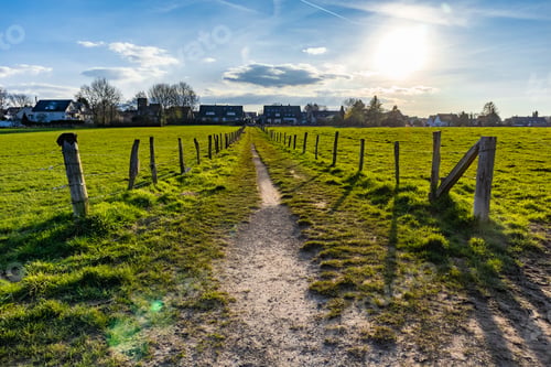Preview: Narrow pathway in the middle of the grassy field under a blue sky