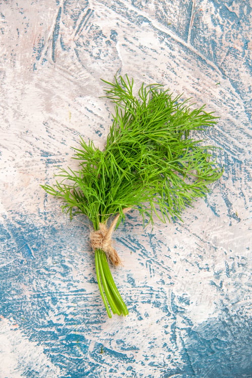 Preview: top view fresh greens on light-blue background salad photo meal color ripe