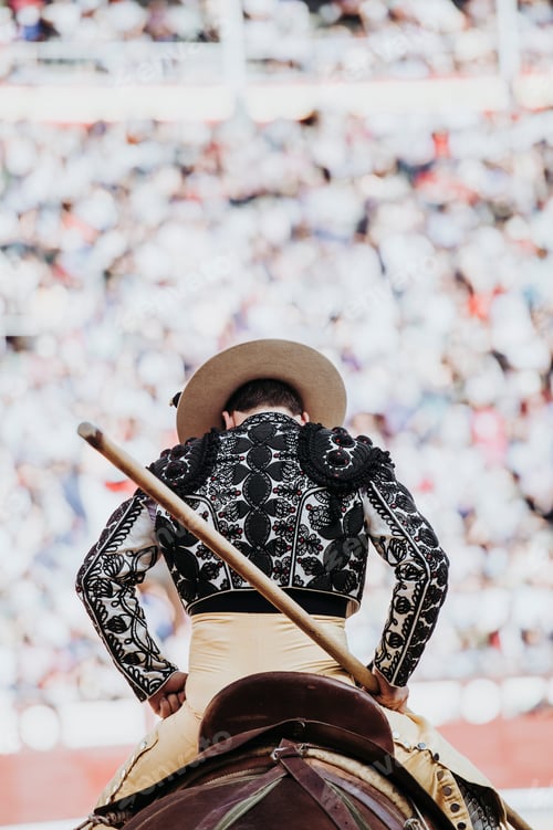 Preview: Picador for bull's fight.