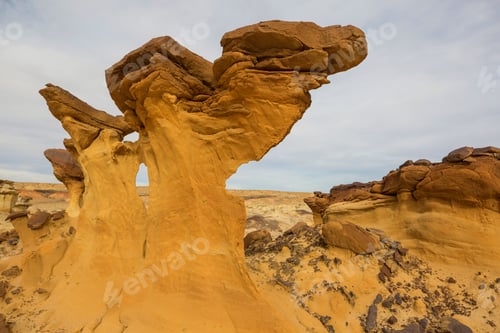 Preview: Bisti