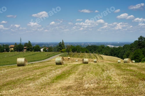 Preview: Rural landscape near Sala Baganza and Fornovo, Parma, at springtime