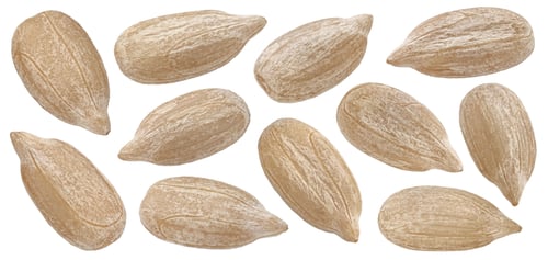 Preview: Peeled sunflower seeds isolated on white background