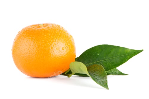 Preview: Ripe tangerine or mandarin