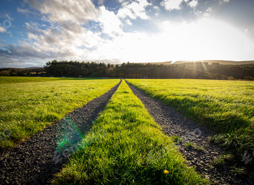 Preview: Grass with tire tracks and shiny sky on the horizon