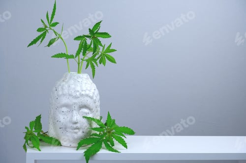 Preview: leaf