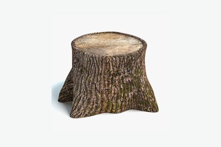 Preview: Tree stump with four curved legs and moss