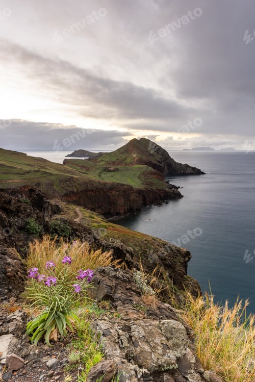 Preview: Ponta de Sao Lourenco, Madeira peninsula at sunrise. Green cliffs, Atlantic Ocean at spring.