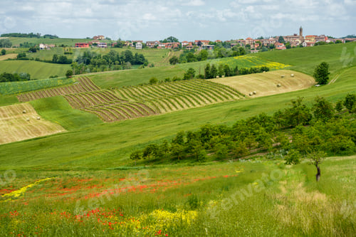 Preview: Landscape on the Tortona hills at springtime.